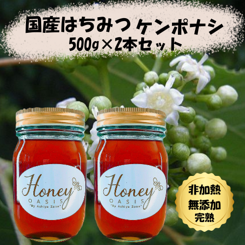 楽天市場】＼ランキング2位獲得／国産はちみつ ケンポナシ 500g