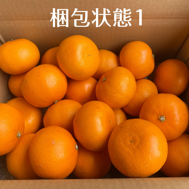 【楽天市場】冷蔵発送 送料無料 愛媛大三島産 せとか 中玉4キロ キレイ みかん ミカン 蜜柑 愛媛みかん 愛媛ミカン えひめみかん 国産