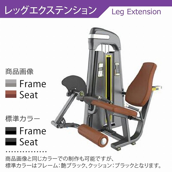 全国宅配無料 レッグエクステンション マシン スタック式トレーニングマシン 別売 Fucoa Cl