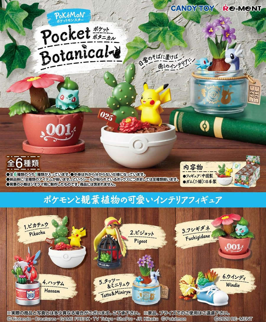 楽天市場 リーメント ポケットモンスター ポケモン Pocket Botanical Box商品 全6種類 Hrco