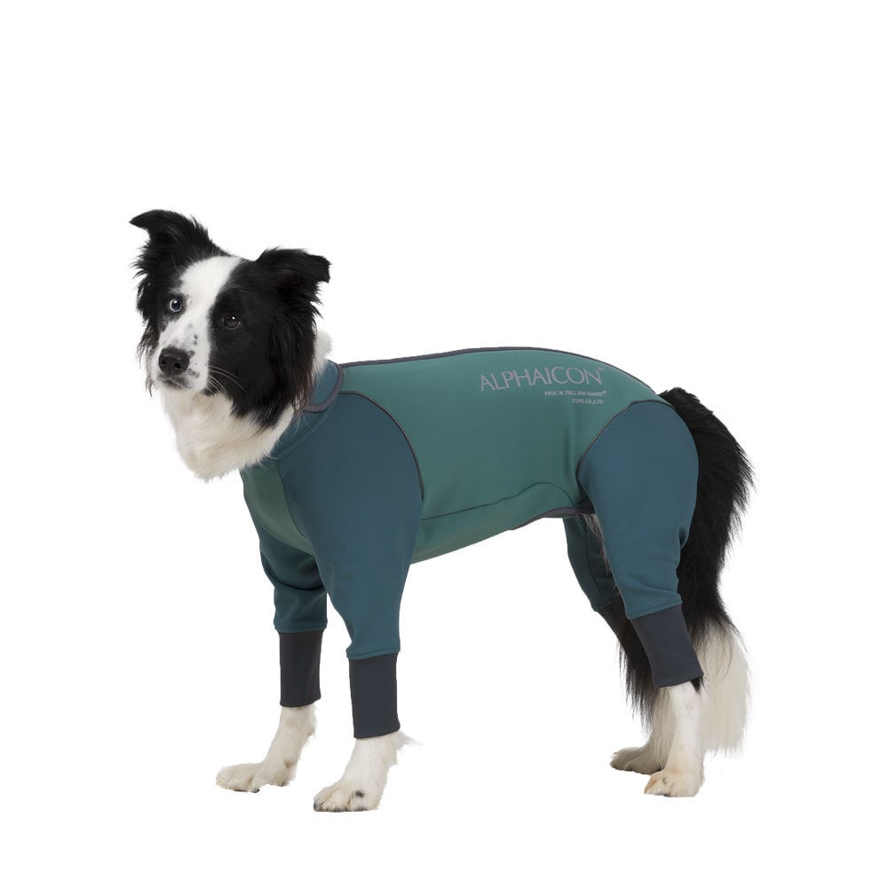 ダブルフルドッグガード 2XL 犬用品 | mantamagnetica.com.br