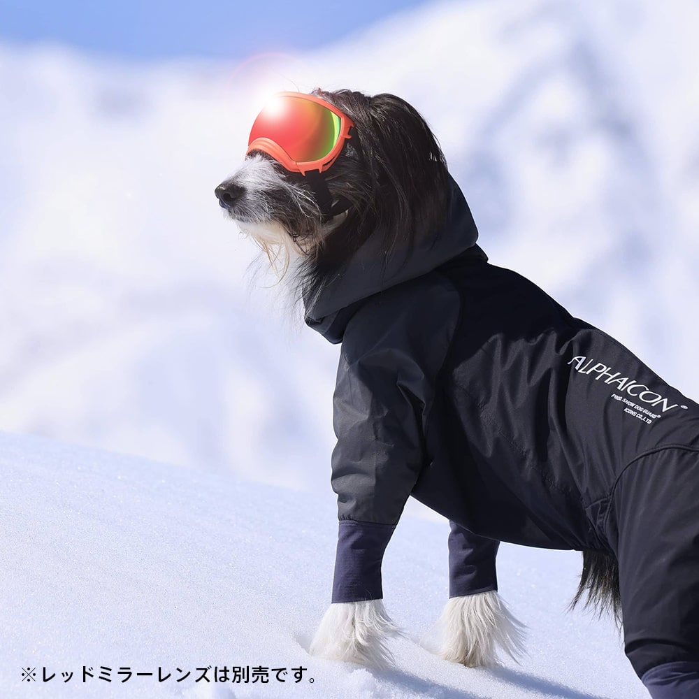 【楽天市場】REXSPECS V2 ドッグゴーグル XSサイズ：アイコンズ スーパーストア