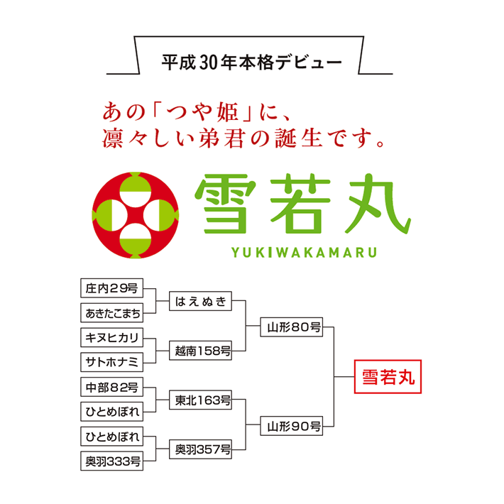 楽天市場 雪若丸 特別栽培米 kg 送料無料 山形県 置賜 令和2年産 米 白米 5kg 4 お米 の ギフト 内祝い お祝い お返し に 熨斗 のし 名入れ 可 お米の通販 五十歩屋 いがほや