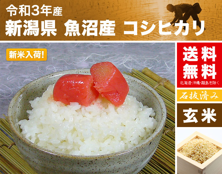 コシヒカリ 新米 送料無料 富山県産 令和元年産 検査1等 30kg (北海道・沖縄は除く) 【 玄米 】