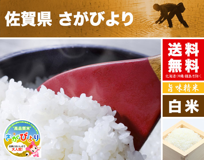 最新情報 さがびより kg 佐賀県 令和2年産 米 白米 5kg 4 特a 特a米 お米 の ギフト 内祝い お祝い お返し に 熨斗 のし 名入れ 可 楽天ランキング1位 Vancouverfamilymagazine Com