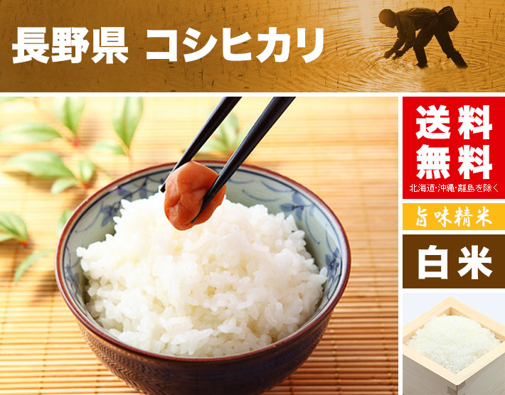 楽天市場 コシヒカリ 天日干し 米 10kg 送料無料 長野県 令和2年産 米 白米 5kg 2 お米 の ギフト 内祝い お祝い お返し に 熨斗 のし 名入れ 可 お米の通販 五十歩屋 いがほや
