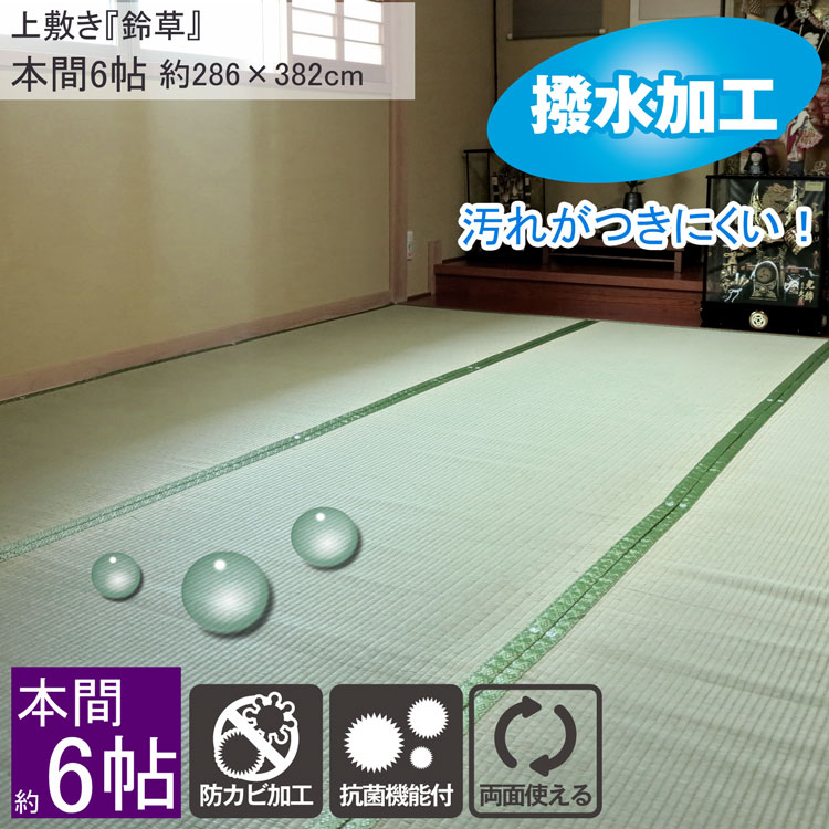 【7/30限定･5％OFFｸｰﾎﾟﾝ】 畳カバー 畳マット い草 ラグ カーペット い草ラグ ラグマット 鈴草 本間 6畳 286&times;382cm 双目織 上敷き 抗菌 防カビ リバーシブル 畳の上に敷くもの 昼寝 ごろ寝 ござ ゴザ｜四季物屋