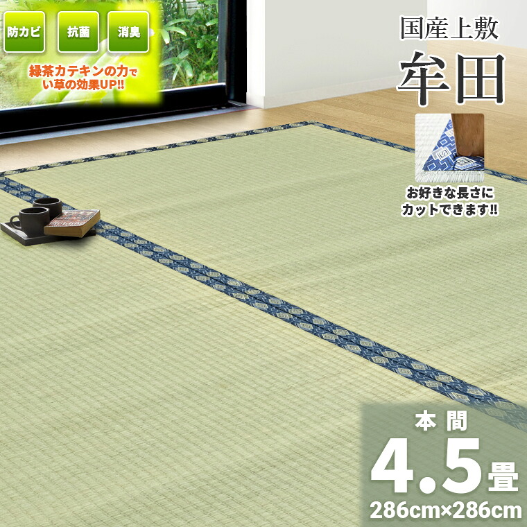 自社一風変わったの緑茶カテキン吹付加工【本間 4.5畳 約286cm×286珊】無償性撥ねのける相応う 国産  上敷き『牟田』 緑茶吹付 畳の日焼押しとどめる 冷やりとした 除湿 抗菌 無菌化 消臭 いぐさ い草 ござ 茣蓙 御座 上敷き 切り手 ハサミ 緑茶 カテキン  畳上敷き