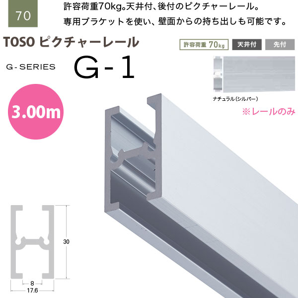 トーソー ピクチャーレール G-1 線路のみ 3.00m 自然的 793399