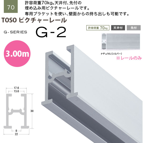 トーソー ピクチャーレール G-2 線路のみ 3.00m 自然的 793405