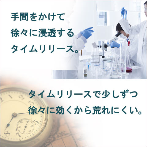 在庫一掃 ナイアシン ビタミンb3 ノーフラッシュ 無添加 植物性x2本入 サプリメント 荒れない ノンフラッシュ アレルギー対応 ナイアシンアミド グルテンフリー アレルゲンフリー サプリ 高吸収 タイムリリース No Flush Niacin 超大特価 Elanguageworld Com