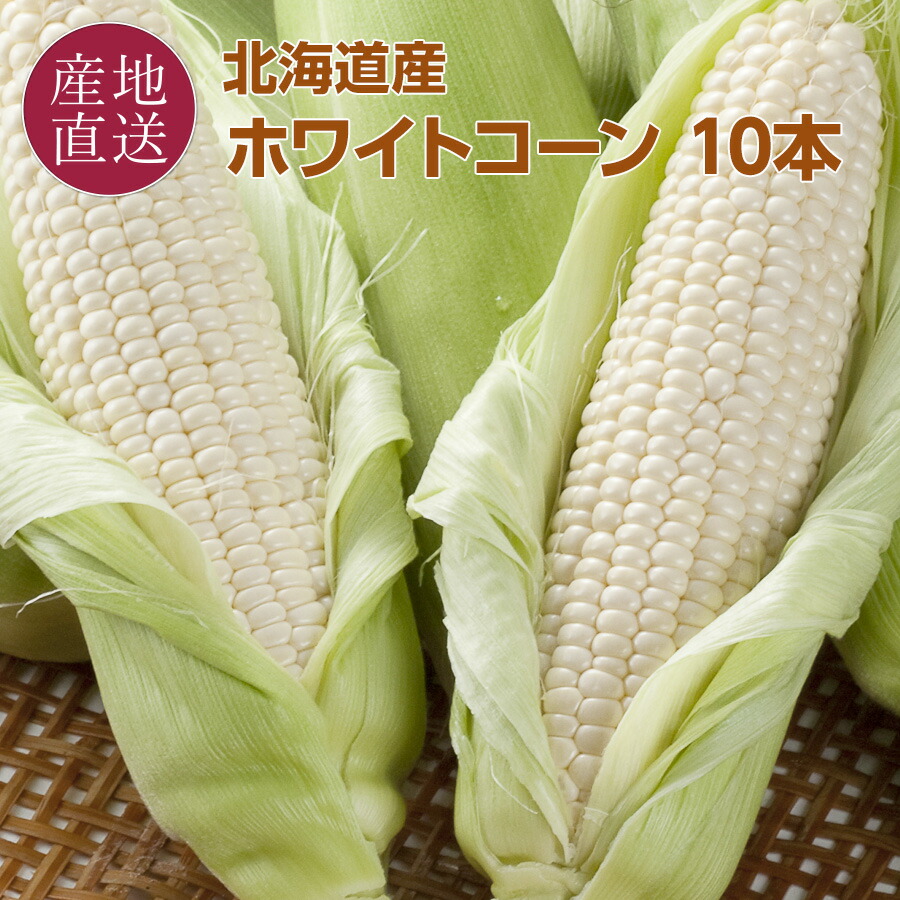 【楽天市場】【とうもろこし早割クーポン配布中】 北海道 白い とうもろこし 10本 白い粒皮の中には甘く濃厚な果汁が詰まっています お取り寄せ