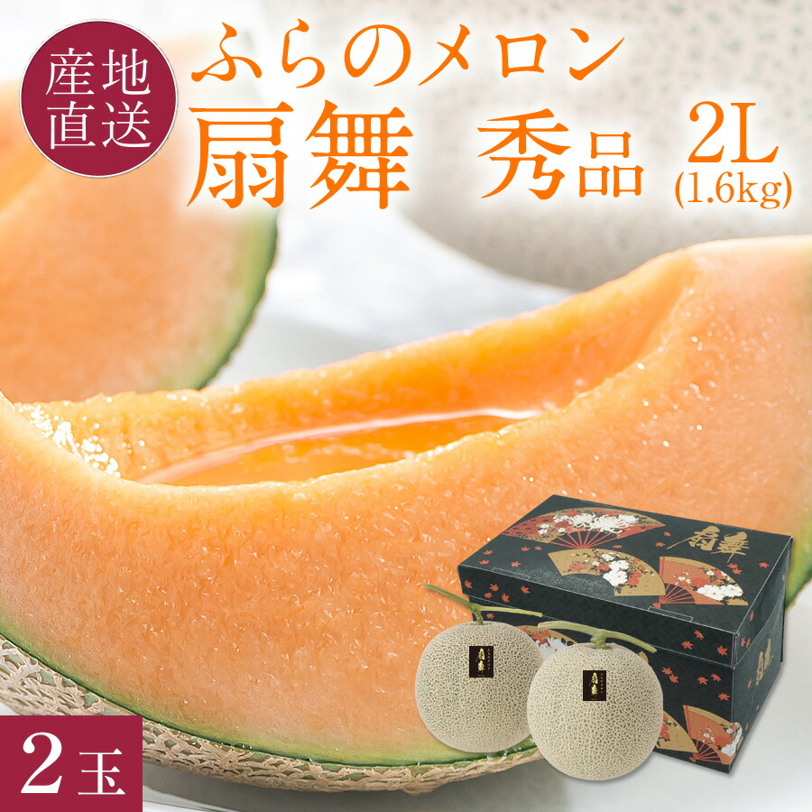 富良野メロン 秀品 扇舞 ふらのメロン 大玉 2l 約1 6kg 2玉 富良野 山部 中山農園 扇舞 ふらのメロン お中元 メロン 北海道 ギフト 送料無料 Psicologosancora Es