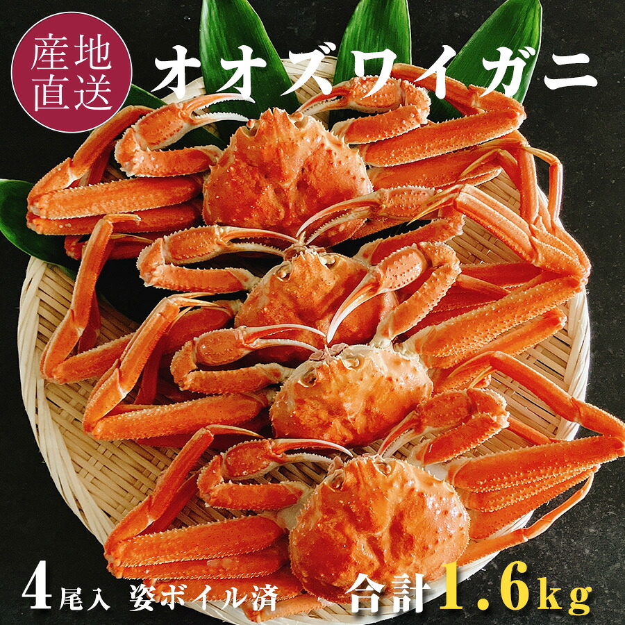 オオズワイガニ 北海道産 姿 ボイル 冷凍 4尾 計1.6kg 海鮮 カニ ギフト お取り寄せ 御歳暮 北海道で漁獲し、北海道で加工 殻付き オオズワイ ズワイ蟹 サイズ若干不揃い 蟹 ズワイガニ ボイル バルダイ種 【送料無料】