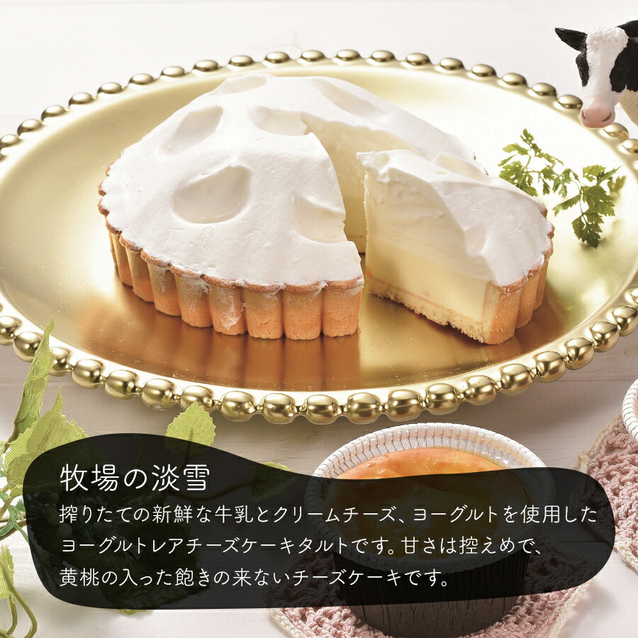 レアチーズ ケーキ タルト