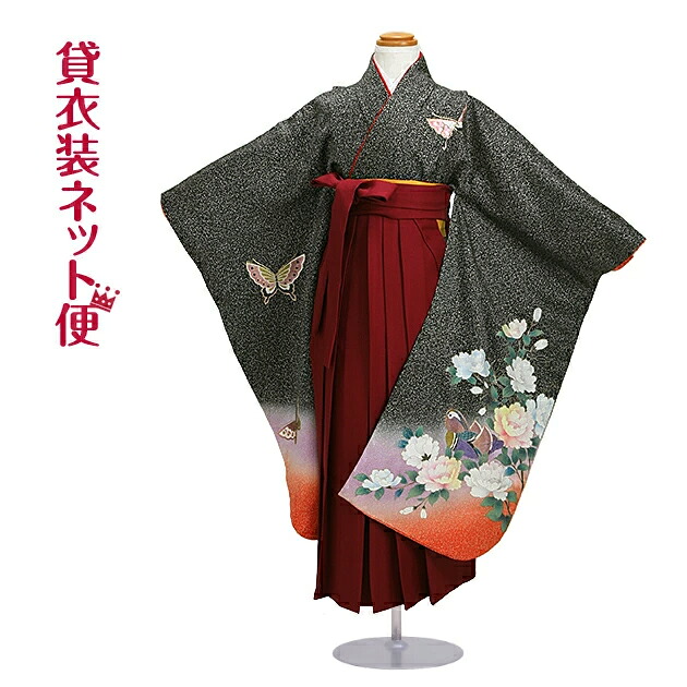 【袴 卒園式 御姉さん】 ★お着付けラクラク！★ 七五三 御芽出度 お召しもの 賃借 7歳 5歳 変わり無く 未成熟 135 おひなさま 【貨物輸送無料】【賃借】