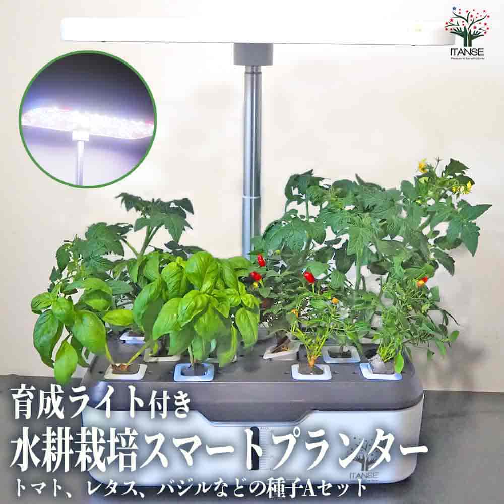 楽天市場】【送料無料】水耕栽培 スマートプランターライト付 春