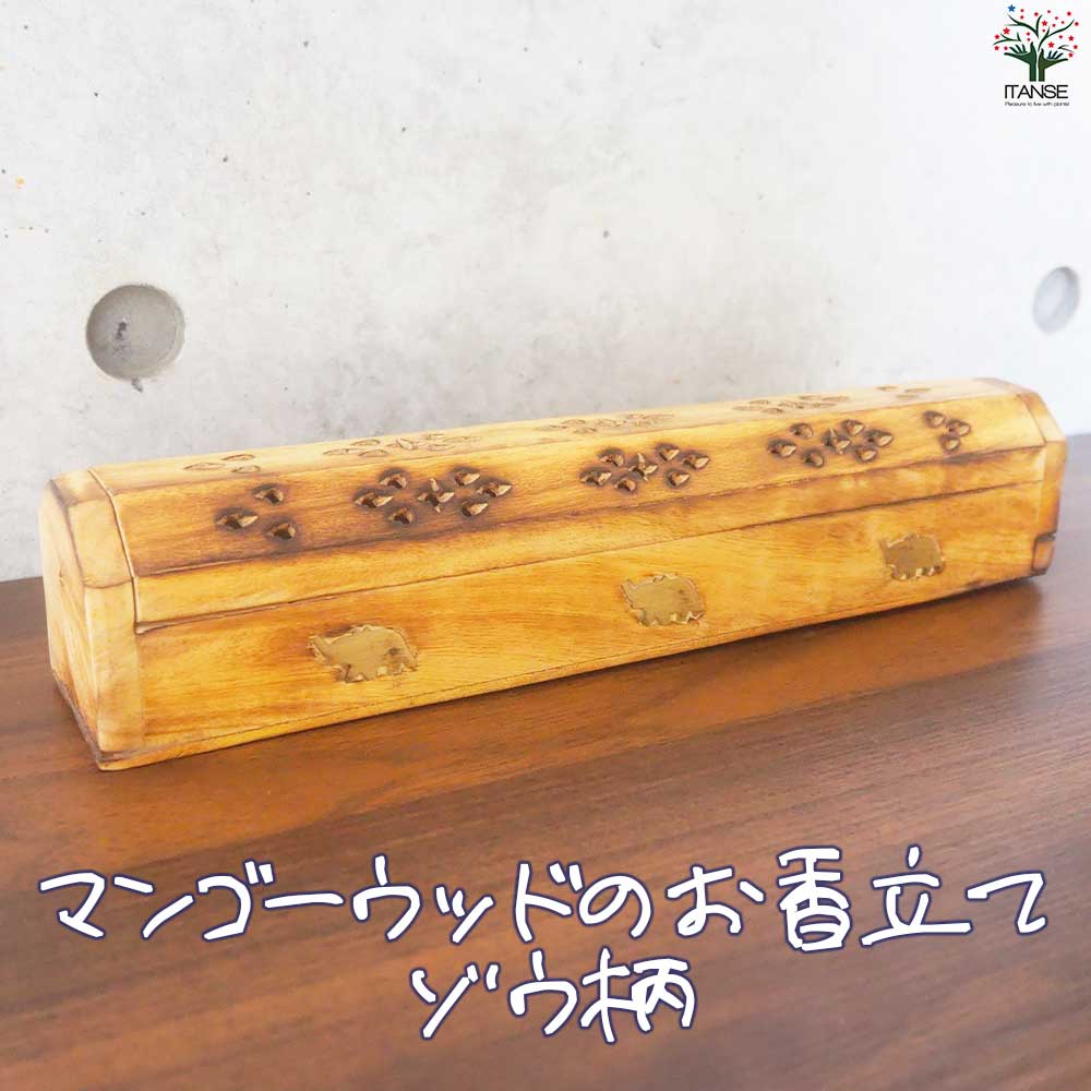 観葉草木特集