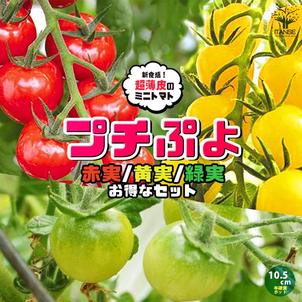 トマトのまんまドレッシング｜徳島産業株式会社