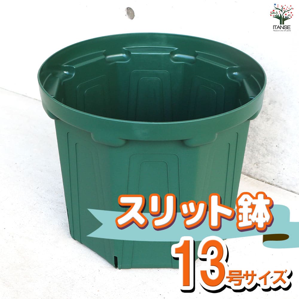 【送料無料】スリット鉢 資材 13号 鉢 ポット プランター 菜園鉢 家庭菜園 ガーデニング 送料無料 即納