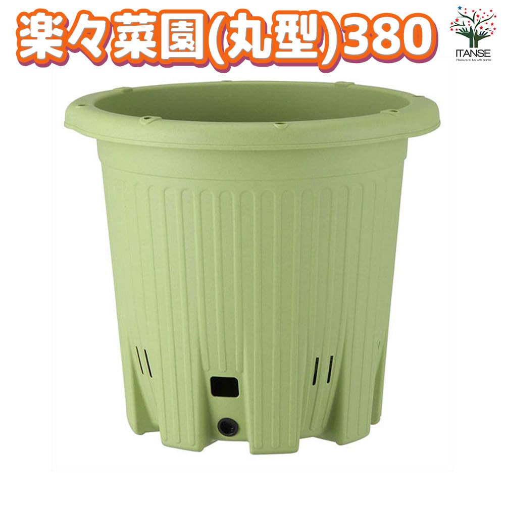 観葉草木特集