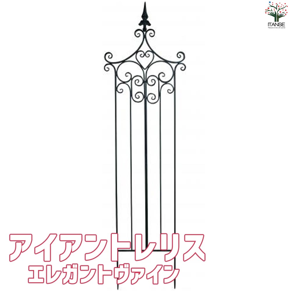 【送料無料】アイアントレリス エレガントヴァイン 資材 トレリス 鉄製 柵 バラ 薔薇 バラ苗 薔薇苗 つる性 送料無料 即納