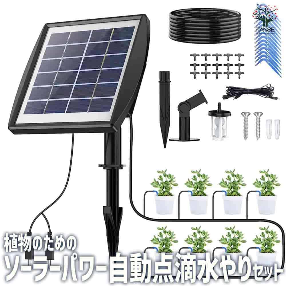 観葉草木特集