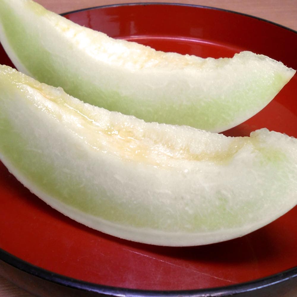 貨物輸送無料 すぐ発送 かなり甘らくらくメロン 自根苗9cmポット お引き合い8個書き割り 草片苗 メロン苗 めろん苗 舐瓜苗 バルコーン 露地栽培 作用樹苗 受けが良いこと 緩やか 亜種 極早生 送料無料 Lanuitdessoudeurs Fr