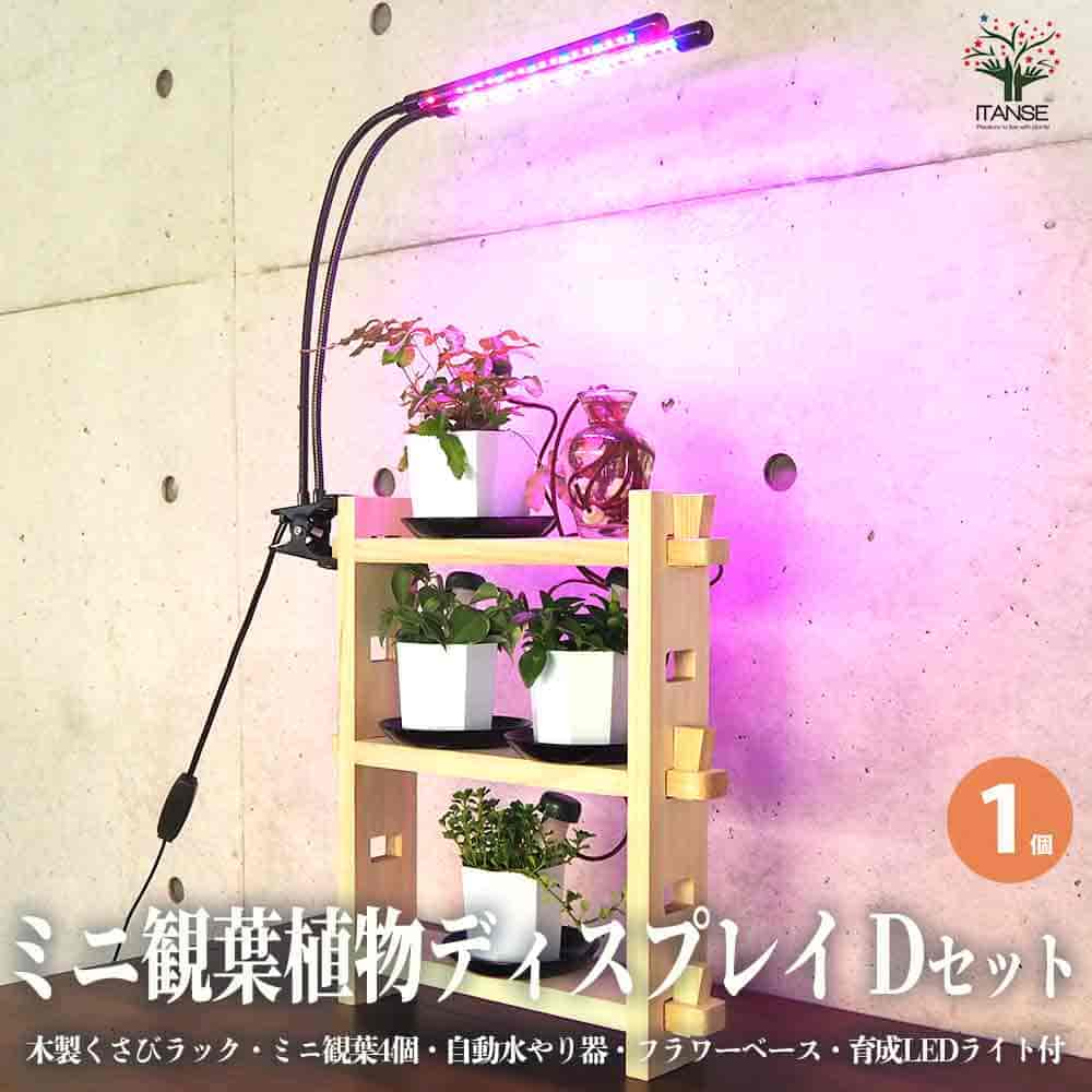 【送料無料】ミニ観葉植物ディスプレイ&生育棚 自動水やり器付き 木製くさびラックDセット ( ミニ観葉4個付き 育成ライト付き ) 資材 1個売り ディスプレイ 棚 観葉 ラック 送料無料 即納