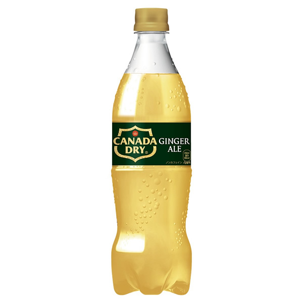 コカ・コーラ カナダドライ ジンジャーエール PET 700ml 20本入×2ケース