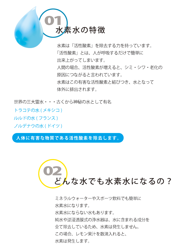 個所10二倍 ケータイ水素ボトル 日本製 送料無料 磁束 Pocket 衣嚢 荷電ウェディング ケータイボトル 水素水制定容器 持ち運び Marchesoni Com Br