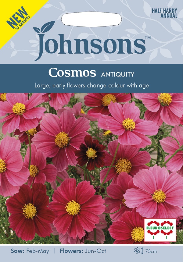 楽天市場 輸入種子 Johnsons Seeds Cosmos Antiquity コスモス アンティクワティ ジョンソンズシード Ivy