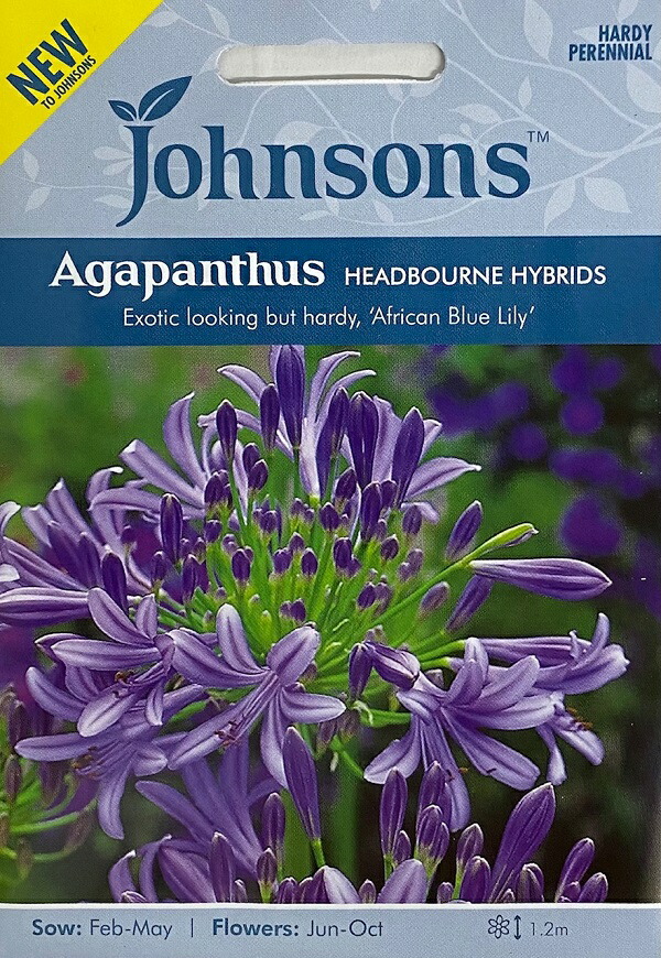 楽天市場 輸入種子 Johnsons Seedsagapanthus Africanus Headbourne Hybridsアガパンサス ヘッドボーン ハイブリッズジョンソンズシード Ivy