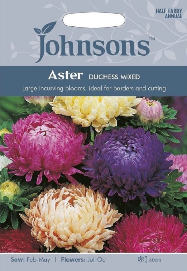 楽天市場 輸入種子 Johnsons Seeds Aster Duchess Mixed アスター ダッチェス ミックス ジョンソンズシード Ivy