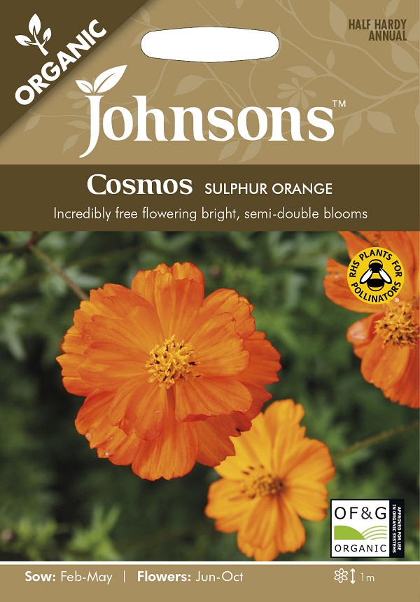 楽天市場 輸入種子 Johnsons Seeds Organic Cosmos Sulphur Orange オーガニック コスモス サルファー オレンジ ジョンソンズシード Ivy