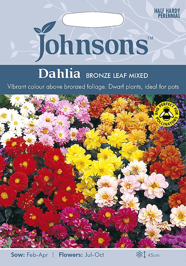 楽天市場 輸入種子 Johnsons Seeds Dahlia Bronze Leaf Mixed ダリア ブロンズリーフ ミックス ジョンソンズシード Ivy