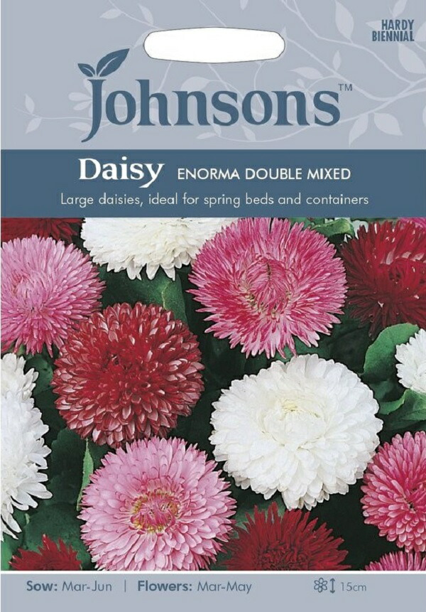 楽天市場】【輸入種子】Mr.Fothergill's SeedsDahlia Mignon Mixedダリア・ミニヨン・ミックスミスター・ フォザーギルズシード : Ivy