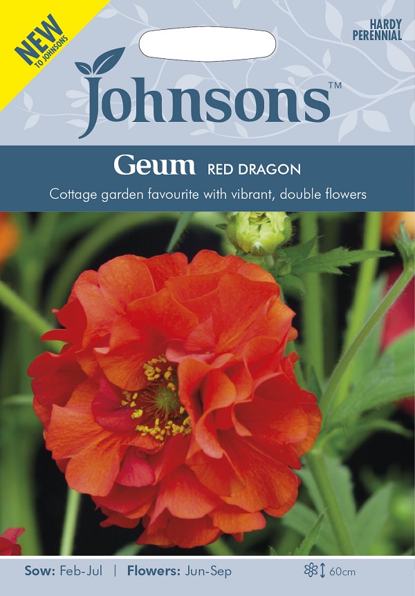 楽天市場 輸入種子 Johnsons Seeds Geum Red Dragon ゲウム レッド ドラゴン ジョンソンズシード Ivy