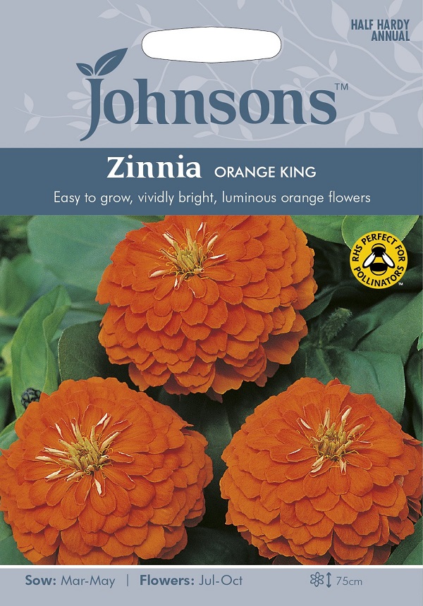 楽天市場 輸入種子 Johnsons Seeds Zinnia Orange King ジニア オレンジ キング ジョンソンズシード Ivy