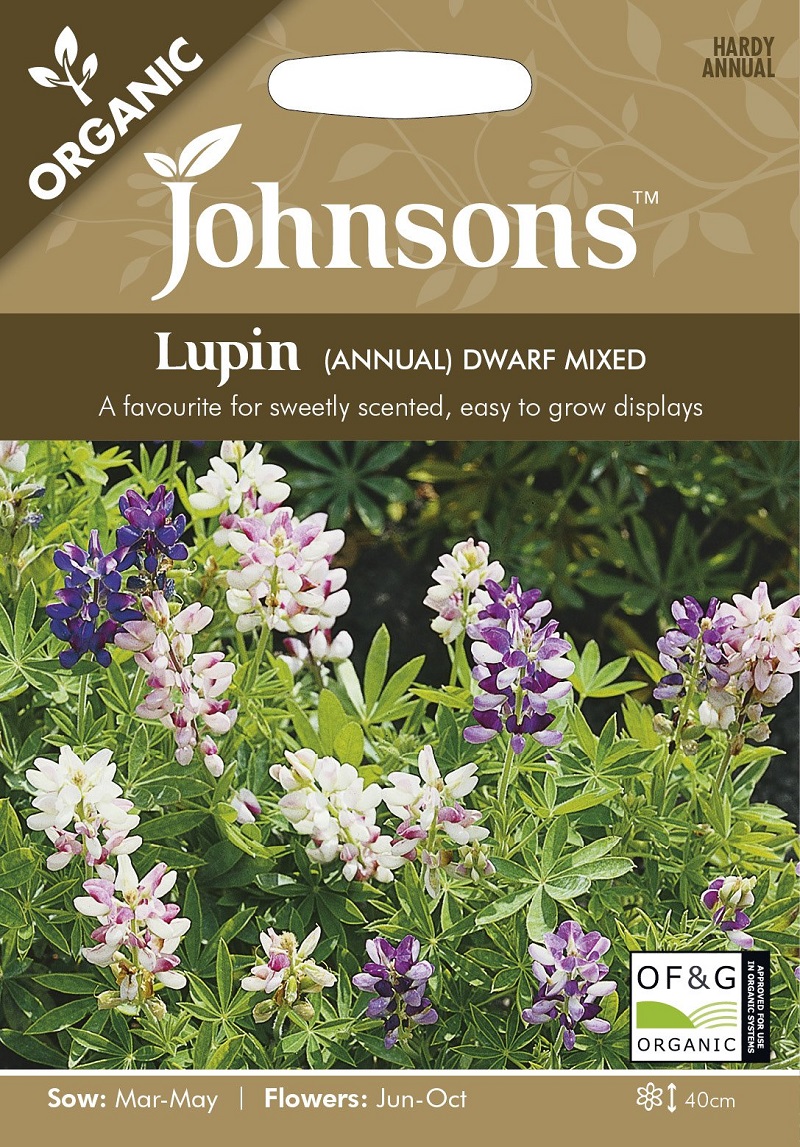 楽天市場 輸入種子 Johnsons Seeds Organic Lupin Annual Dwarf Mixed オーガニック ルーピン アニュアル ドワーフミックス ジョンソンズシード Ivy