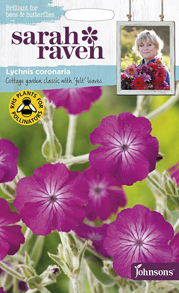 楽天市場】【輸入種子】Mr.Fothergill's Seeds WILDFLOWER Ragged Robin=Lychnis flos-cuculi  ワイルドフラワー ラッグド・ロビン（リクニス・フロス・ククリ）ミスター・フォザーギルズシード : Ivy