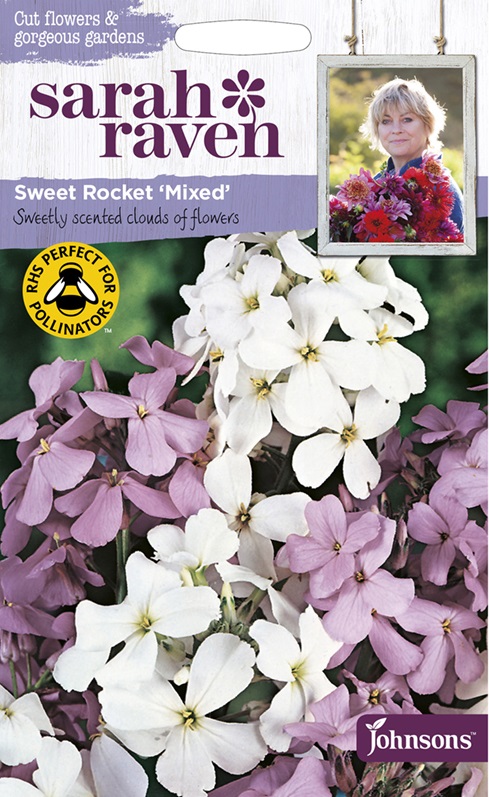 楽天市場】【輸入種子】Mr.Fothergill's Seeds Royal Horticultural Society Aubrietia  ROYAL SERIES RHS オーブリエチア ロイヤル・シリーズ ミスター・フォザーギルズシード : Ivy