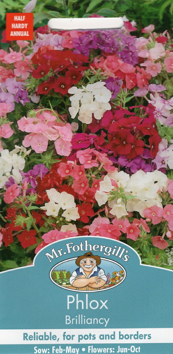 高級感 Mr.Fothergill's Seeds Phlox Brilliancy フロックス ブリリアンシー ミスター フォザーギルズシード  qdtek.vn