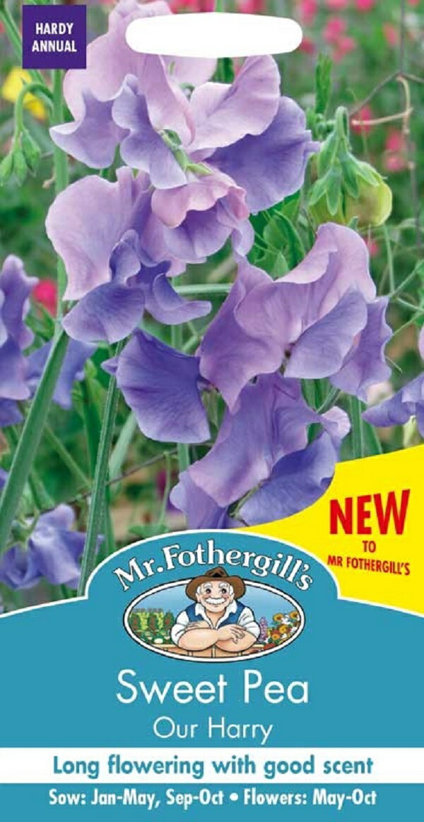 楽天市場】【輸入種子】Mr.Fothergill's Seeds Sweet Pea Erewhon スイート・ピー エリューホン ミスター・ フォザーギルズシード : Ivy