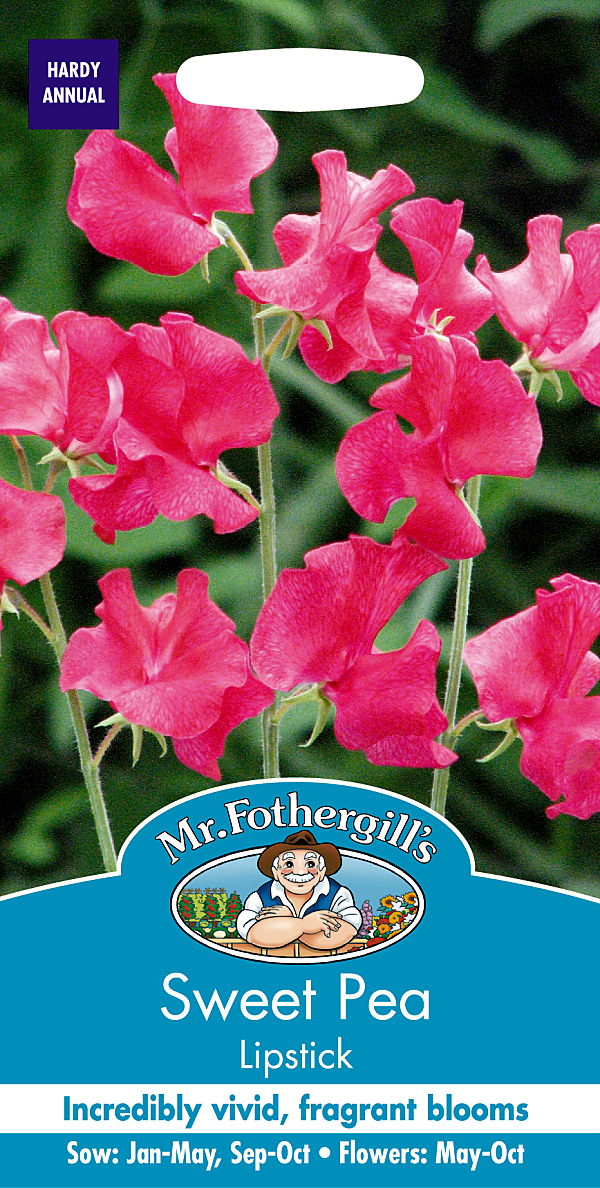 楽天市場】【輸入種子】Mr.Fothergill's Seeds Sweet Pea Our Harry スイートピー・アウア・ハリー ミスター・ フォザーギルズシード : Ivy