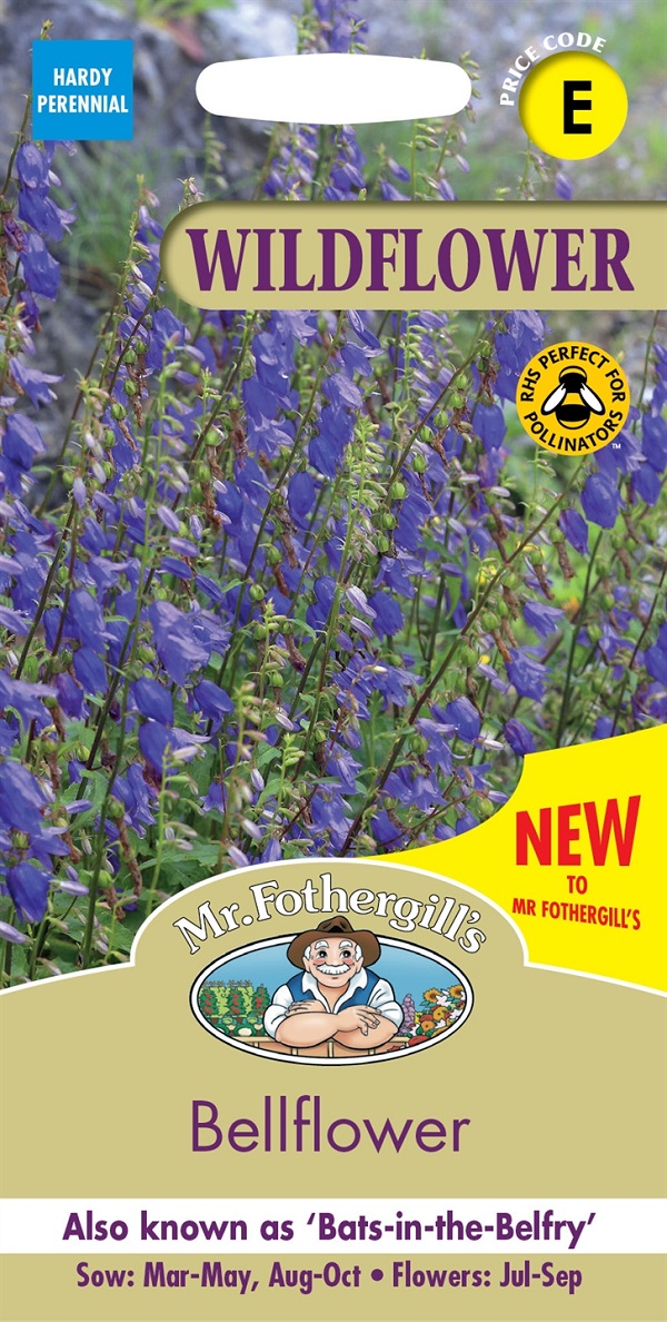 楽天市場】【輸入種子】Mr.Fothergill's Seeds WILDFLOWER Sea Campion ワイルドフラワー シーキャンピオン  ミスター・フォザーギルズシード : Ivy