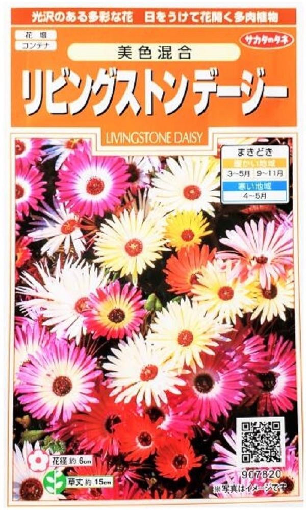 211円 本物品質の 株式会社トーホク カーネーション 00584 211円 本物品質の 株式会社トーホク カーネーション 00584
