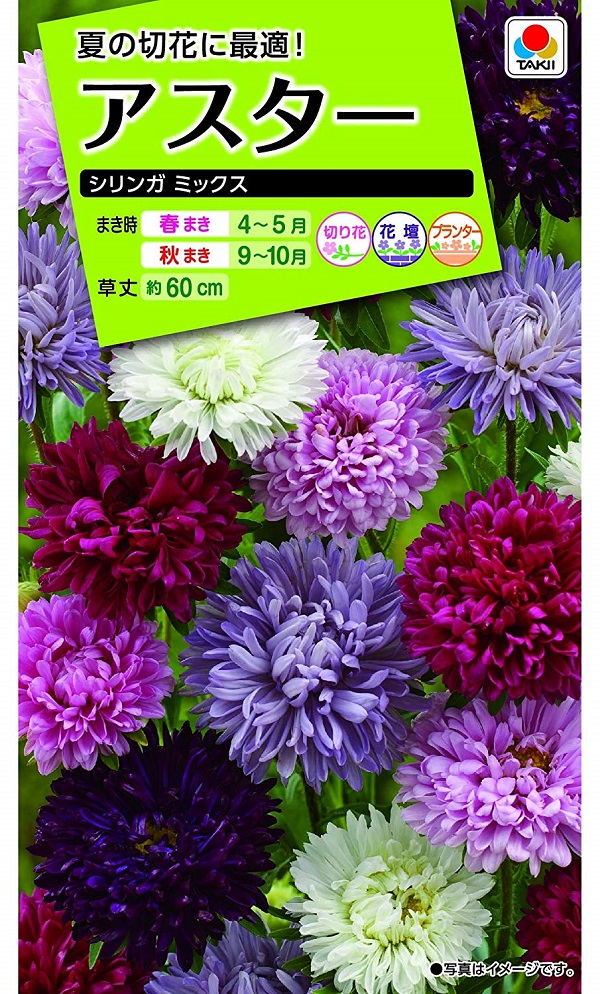 楽天市場 種子 アスター シリンガ ミックス タキイ種苗のタネ Ivy