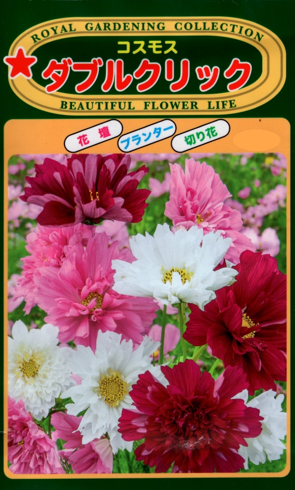 楽天市場 種子 コスモス ダブルクリックトーホクのタネ Ivy