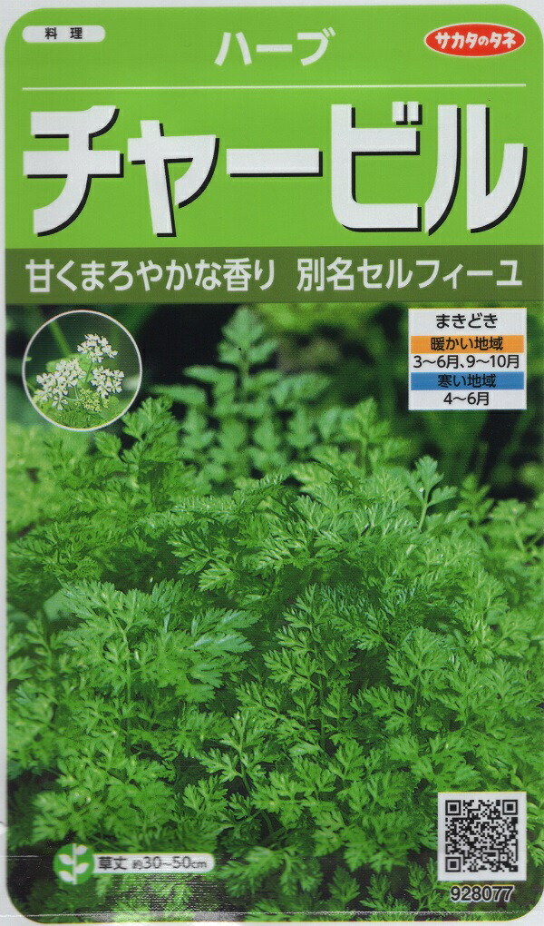 お歳暮 <br>ムスクマロウ <br>藤田種子のタネ